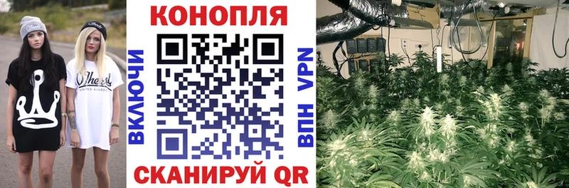 Канабис MAZAR Ухта